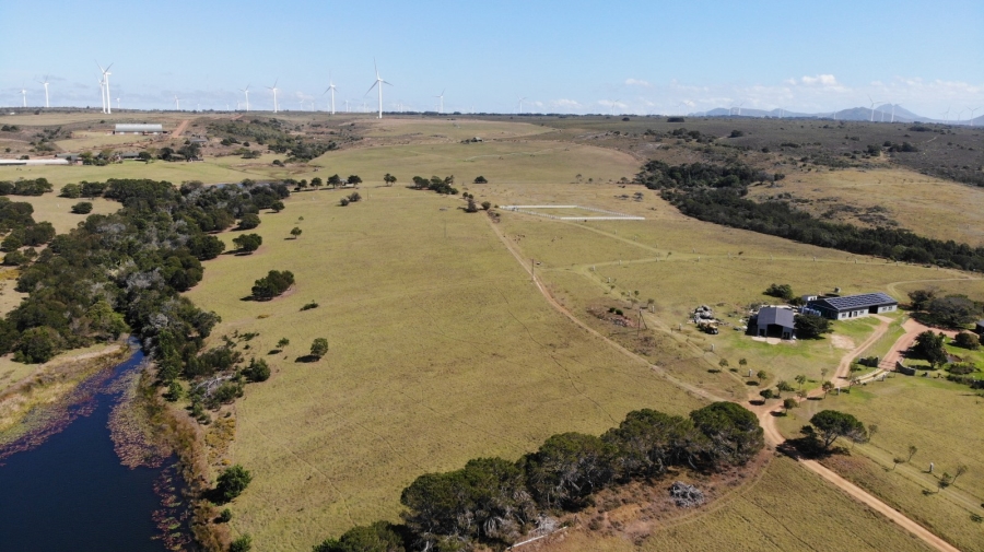 0 Bedroom Property for Sale in Kabeljauws Eastern Cape